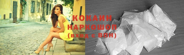 гашик Переславль-Залесский