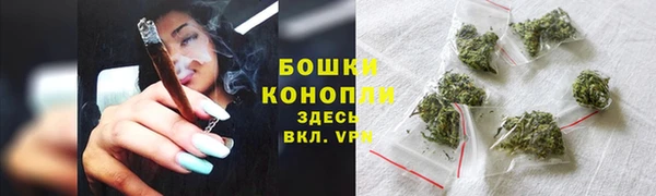 бошки Аркадак