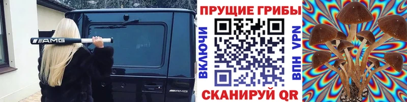 Галлюциногенные грибы мицелий  Заречный 